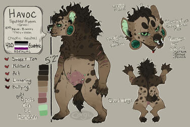 Reference Sheet